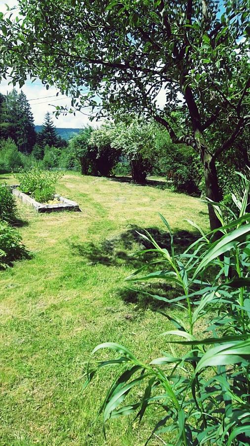 La Boissellerie Hotel Saulxures-sur-Moselotte ภายนอก รูปภาพ