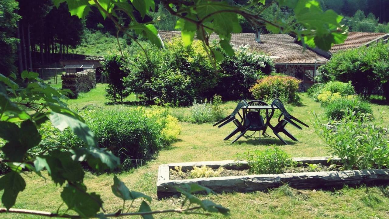 La Boissellerie Hotel Saulxures-sur-Moselotte ภายนอก รูปภาพ